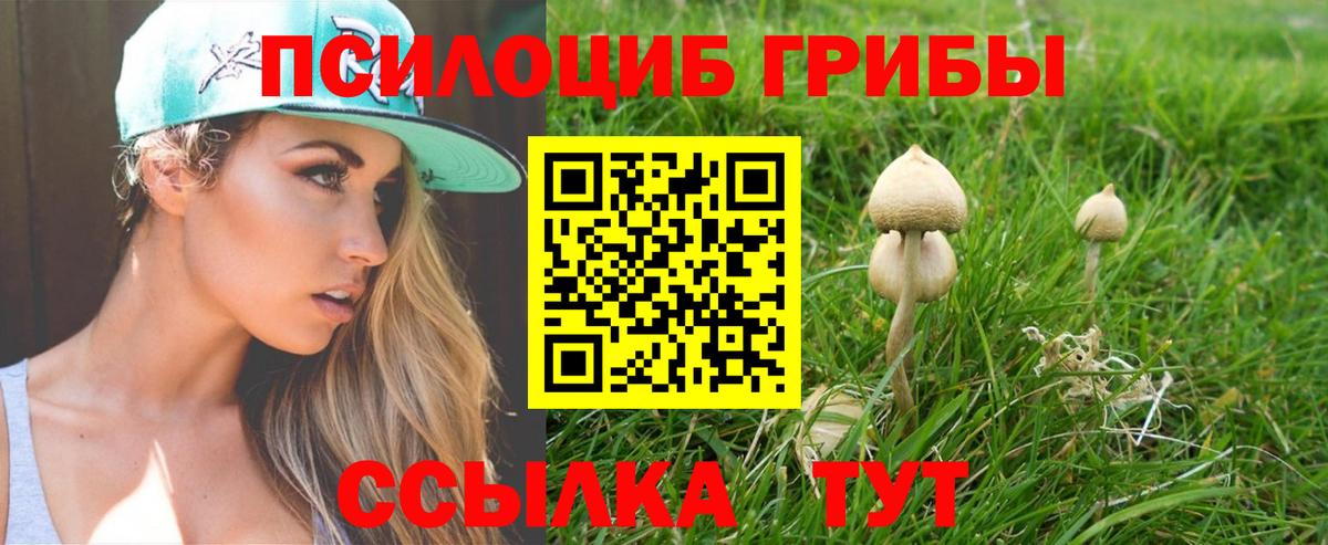 Галлюциногенные грибы мухоморы  Вход с VPN  Изобильный 